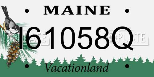 I61058Q Maine License Plate