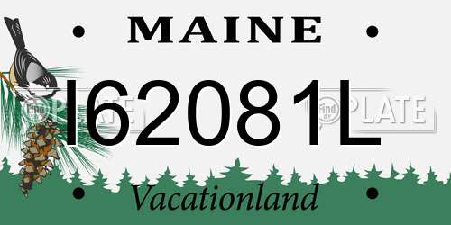 I62081L Maine License Plate