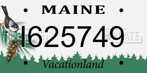 I625749 Maine License Plate