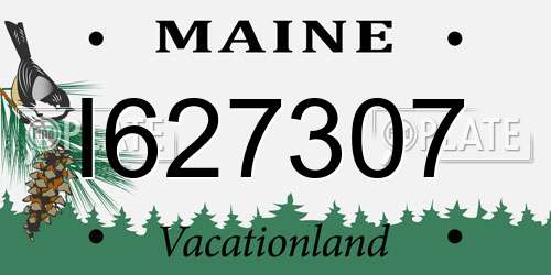 I627307 Maine License Plate