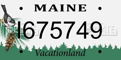 I675749 Maine License Plate