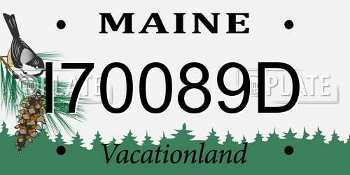 I70089D Maine License Plate