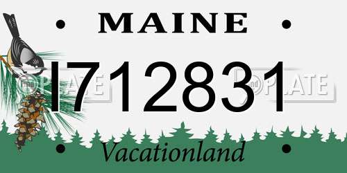 I712831 Maine License Plate