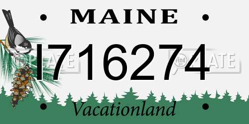 I716274 Maine License Plate