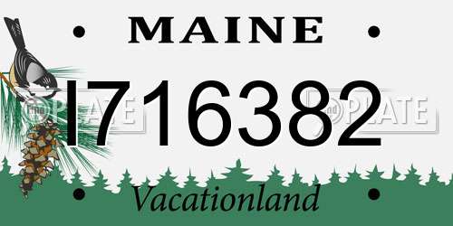 I716382 Maine License Plate