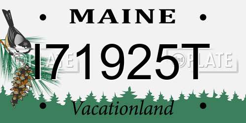I71925T Maine License Plate