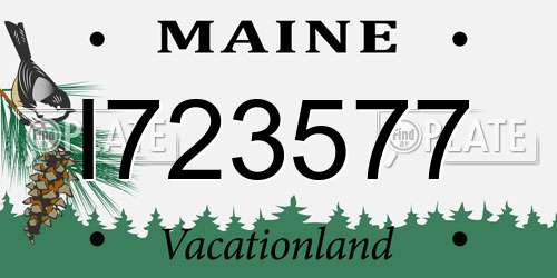 I723577 Maine License Plate