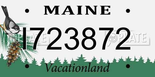 I723872 Maine License Plate