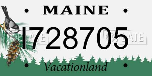 I728705 Maine License Plate
