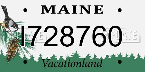 I728760 Maine License Plate