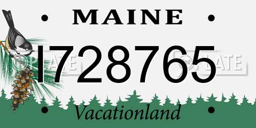 I728765 Maine License Plate