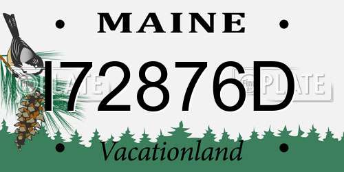 I72876D Maine License Plate