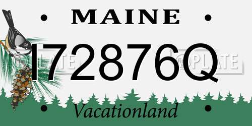 I72876Q Maine License Plate