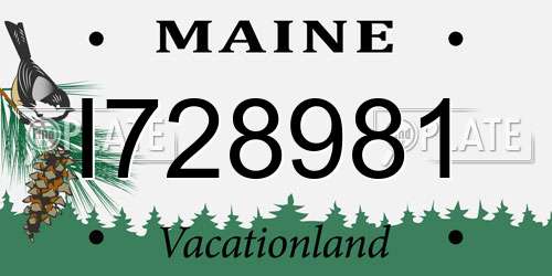 I728981 Maine License Plate