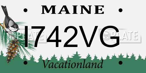 I742VG Maine License Plate