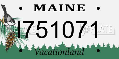 I751071 Maine License Plate