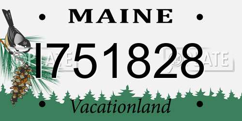 I751828 Maine License Plate