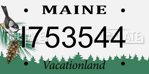 I753544 Maine License Plate