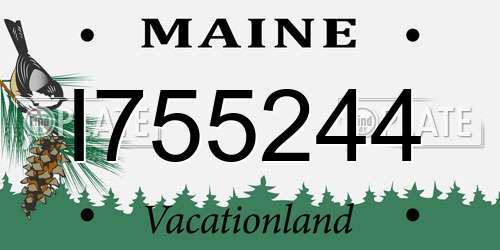 I755244 Maine License Plate