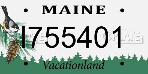 I755401 Maine License Plate