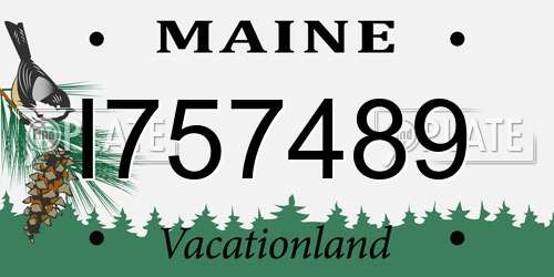 I757489 Maine License Plate