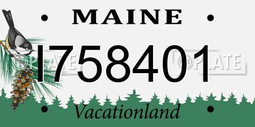 I758401 Maine License Plate