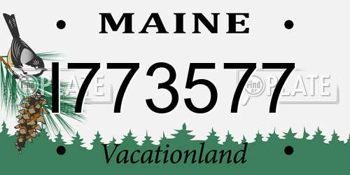 I773577 Maine License Plate