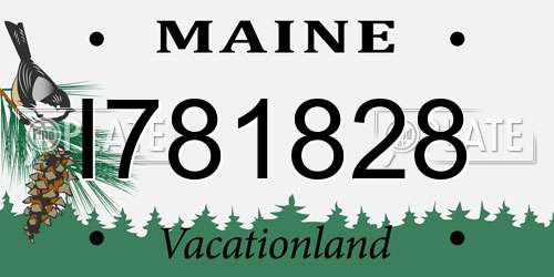 I781828 Maine License Plate