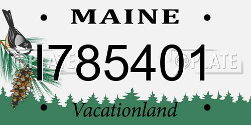 I785401 Maine License Plate
