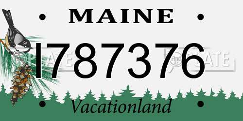 I787376 Maine License Plate