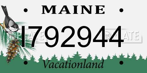 I792944 Maine License Plate