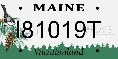 I81019T Maine License Plate
