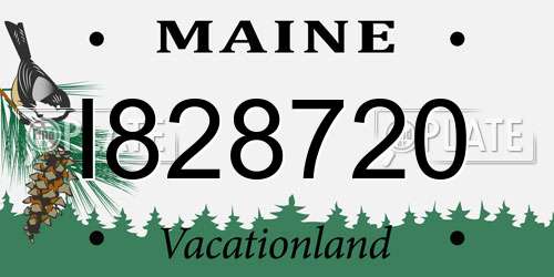 I828720 Maine License Plate