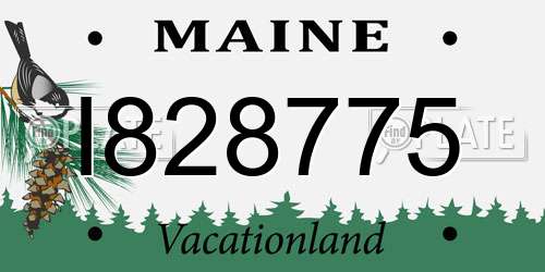 I828775 Maine License Plate