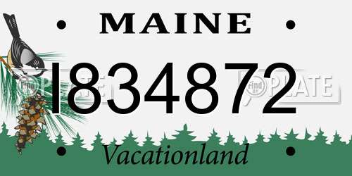 I834872 Maine License Plate