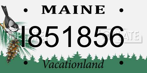 I851856 Maine License Plate