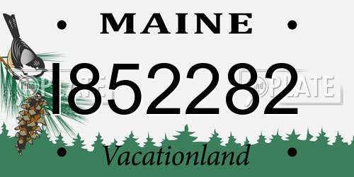 I852282 Maine License Plate