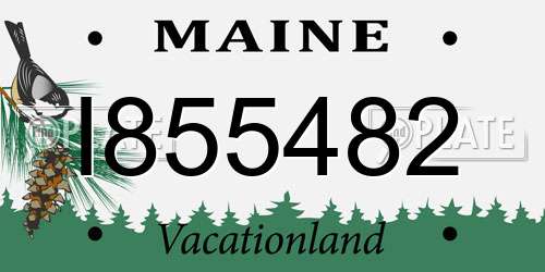 I855482 Maine License Plate