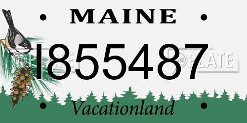 I855487 Maine License Plate