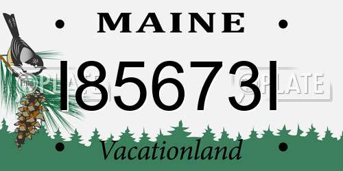 I85673I Maine License Plate