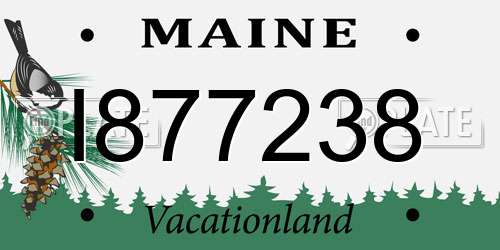 I877238 Maine License Plate