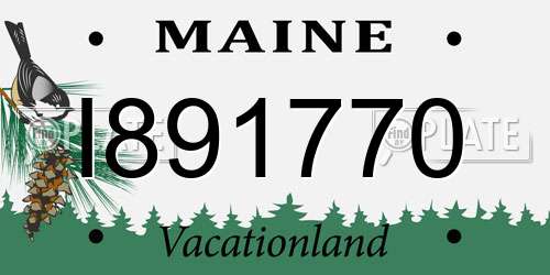 I891770 Maine License Plate