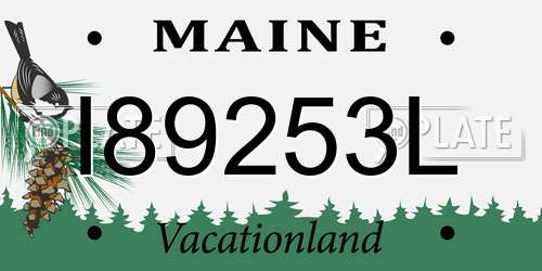 I89253L Maine License Plate