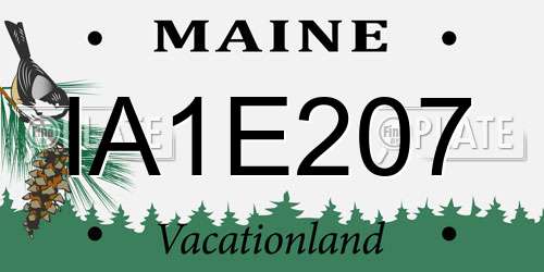 IA1E207 Maine License Plate