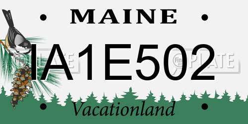 IA1E502 Maine License Plate