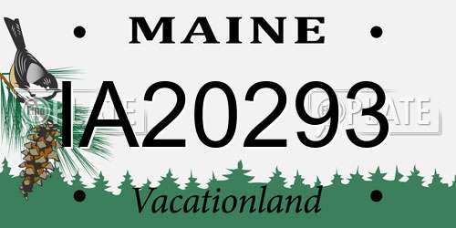 IA20293 Maine License Plate