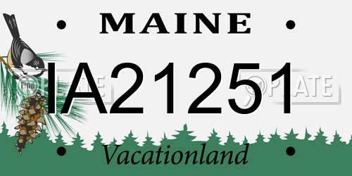 IA21251 Maine License Plate