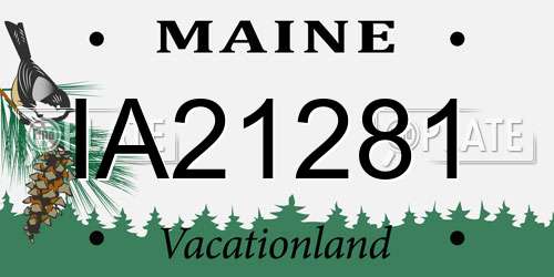 IA21281 Maine License Plate