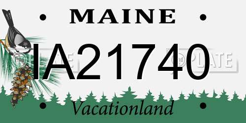 IA21740 Maine License Plate