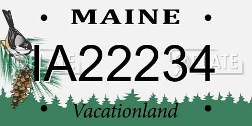 IA22234 Maine License Plate